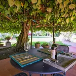 Casa vacanze Bardeggiano - Caterina 5 By Interhome Belvedere (Florence)