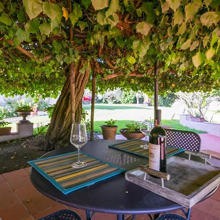 Ferienhaus Bardeggiano - Caterina 5 By Interhome Belvedere (Florence)