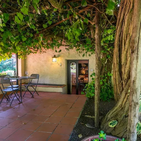 Ferienhaus Bardeggiano - Caterina 5 By Interhome